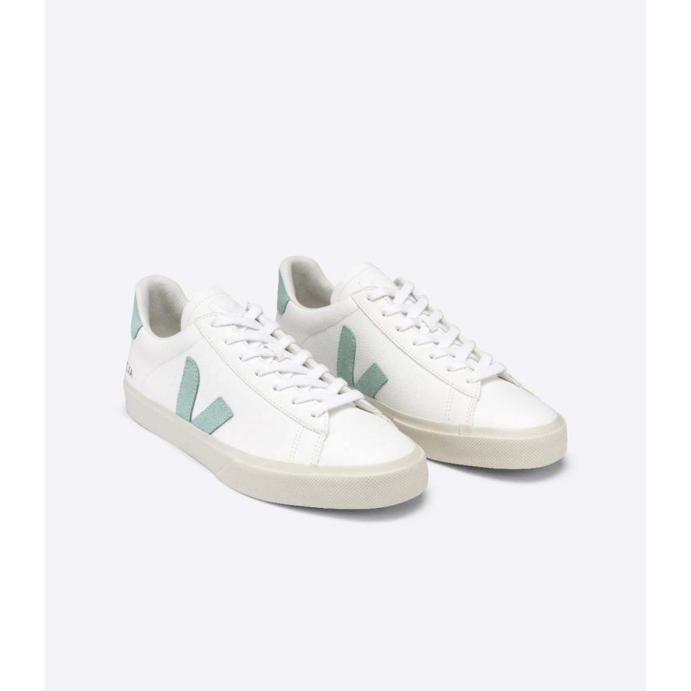 White/Mint Men's Veja CAMPO CHROMEFREE Low Tops Sneakers | AU 295RVD